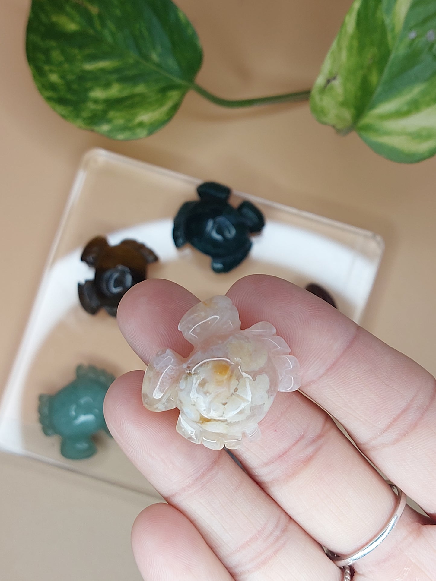 Krebs | Carving mini