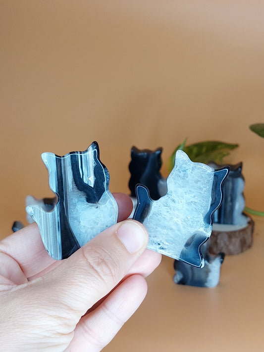 Achat schwarz Katze