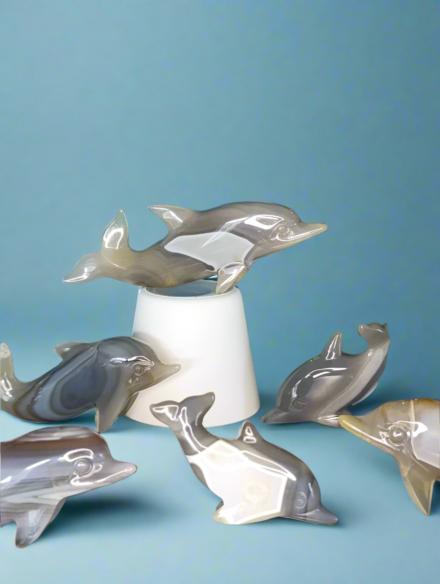Achat Delfin