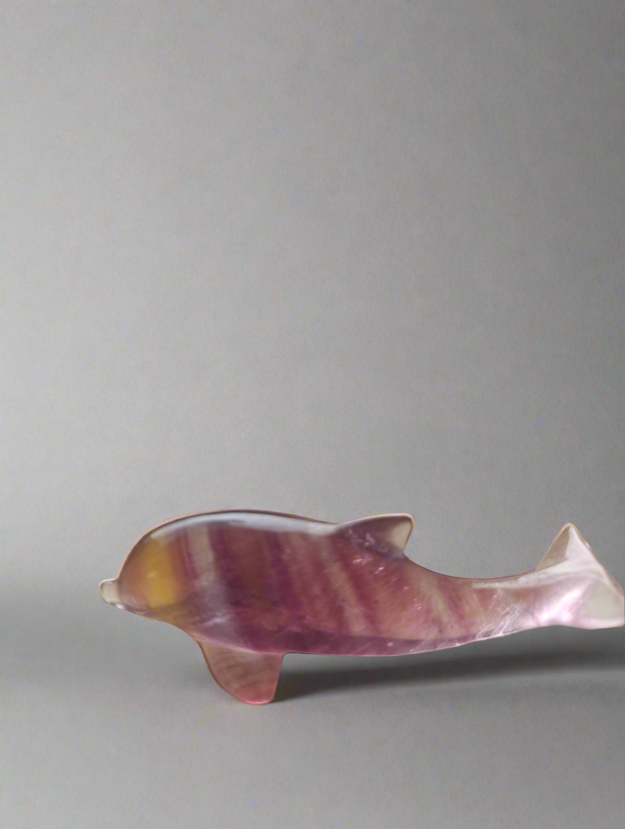 Regenbogen Flourit Delfin