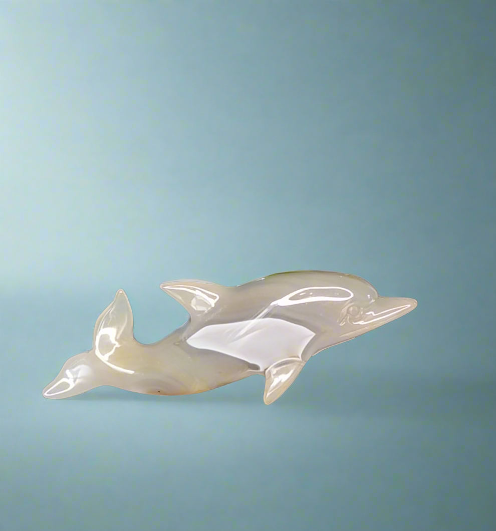 Achat Delfin