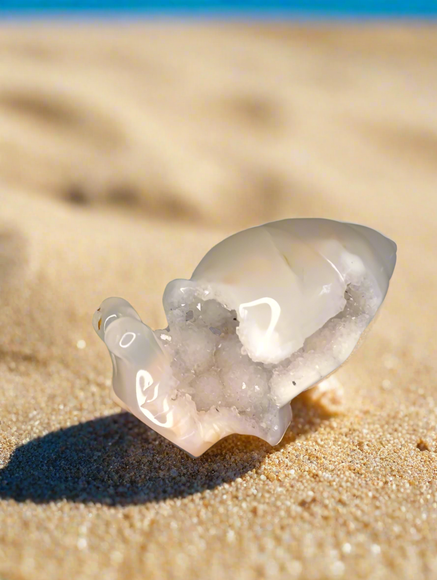 Druzy Achat Schnecke