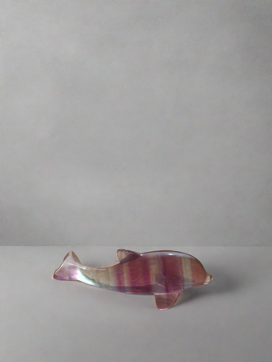 Regenbogen Flourit Delfin