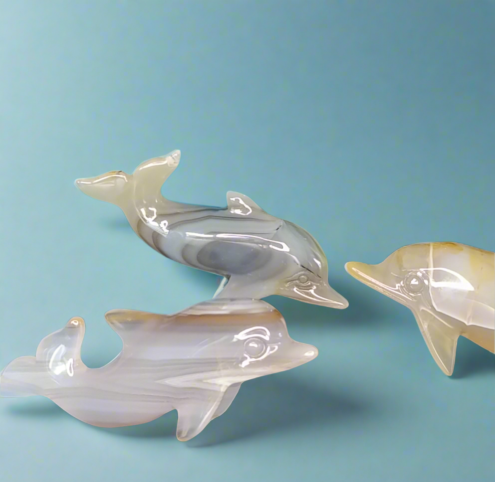 Achat Delfin
