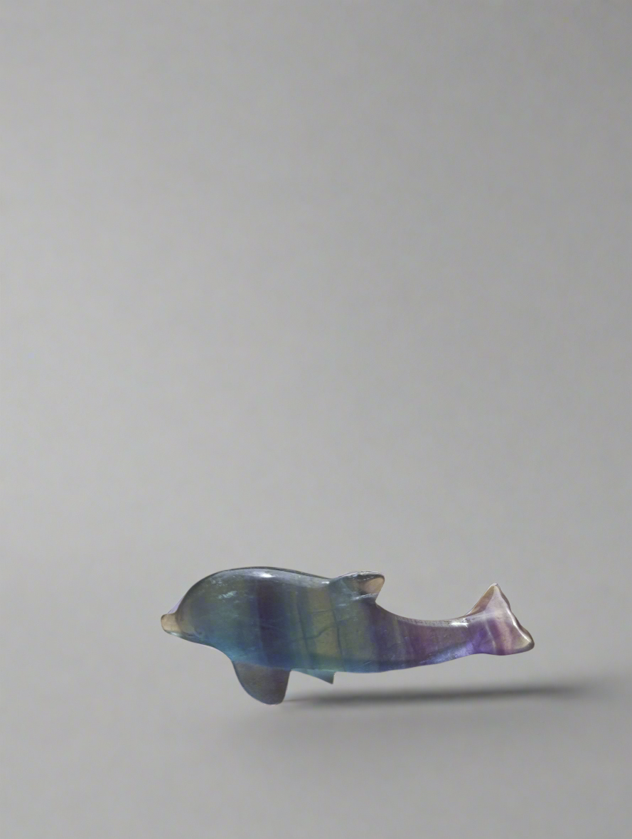 Regenbogen Flourit Delfin