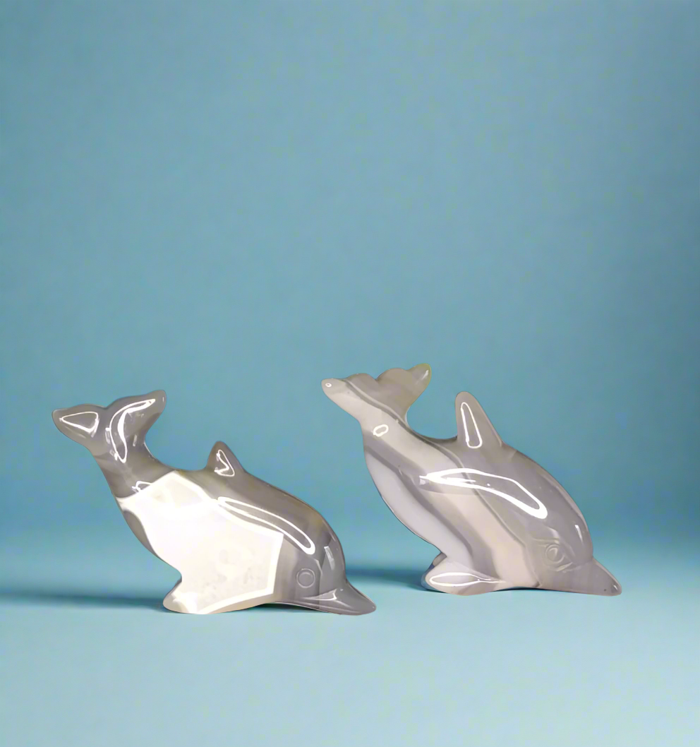 Achat Delfin