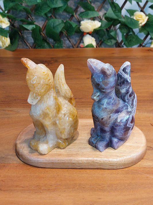 Golden healer Amethyst Fuchs