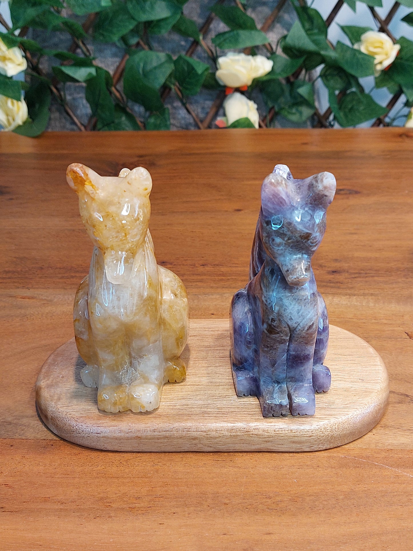 Golden healer Amethyst Fuchs