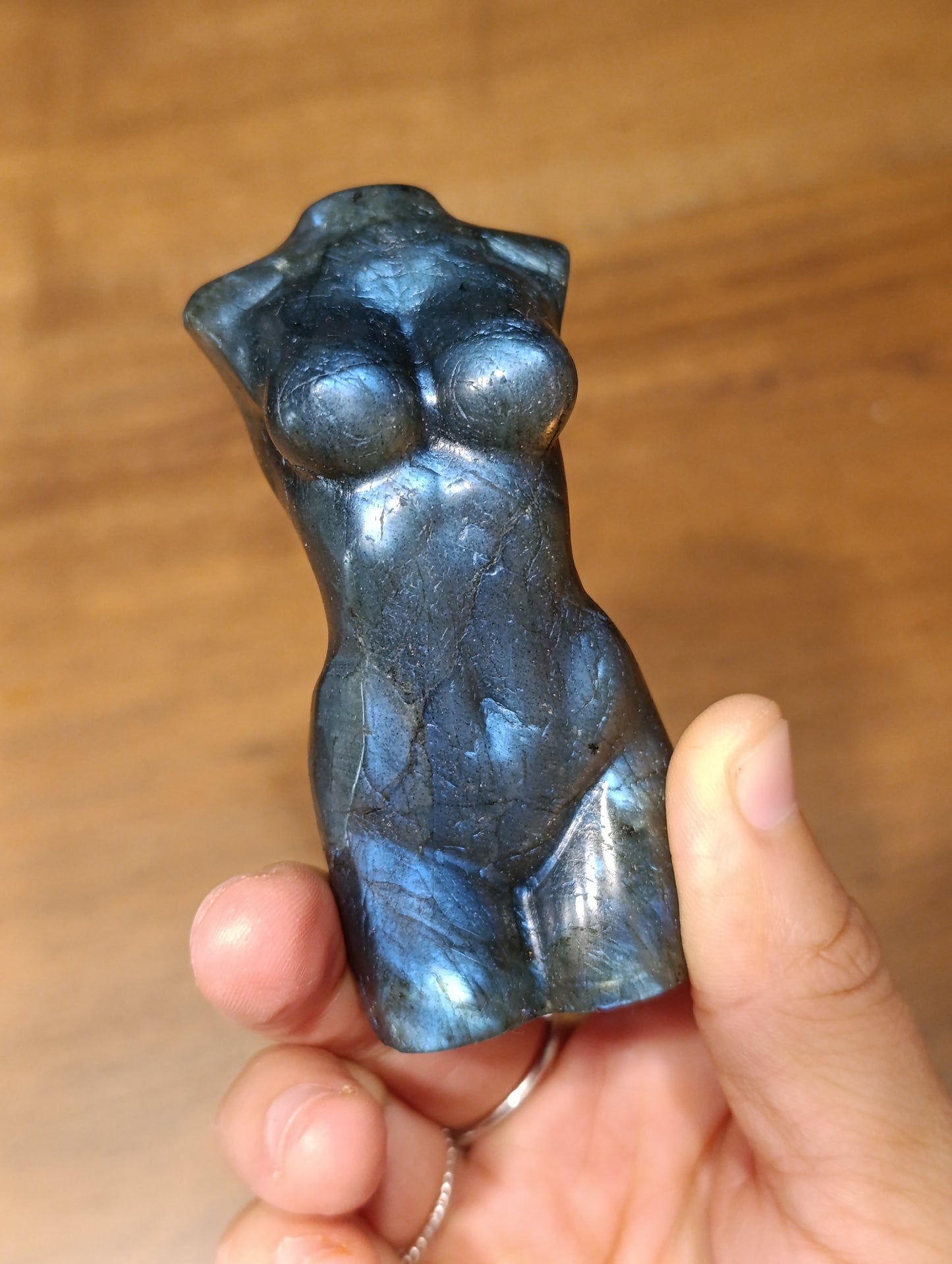 Labradorit female body