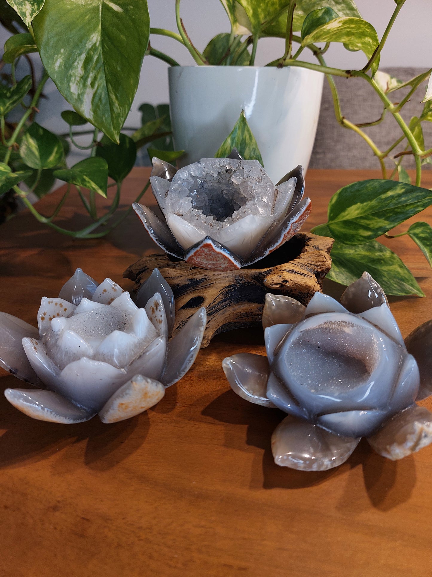 Druzy Achat Lotus Blüte XL
