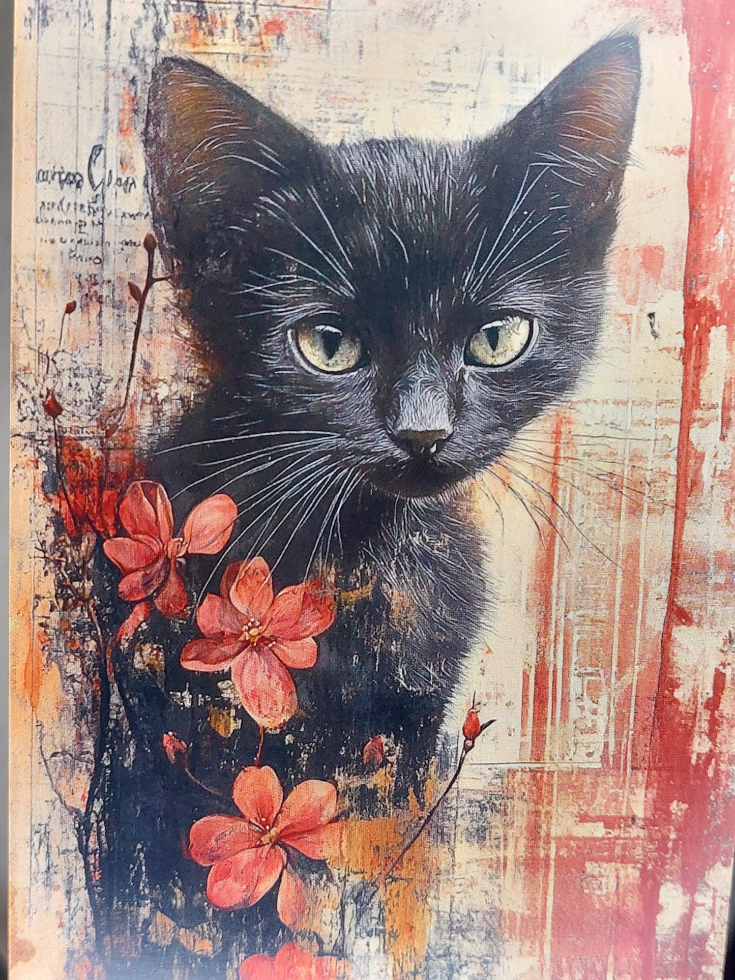 Katzen Postkarte