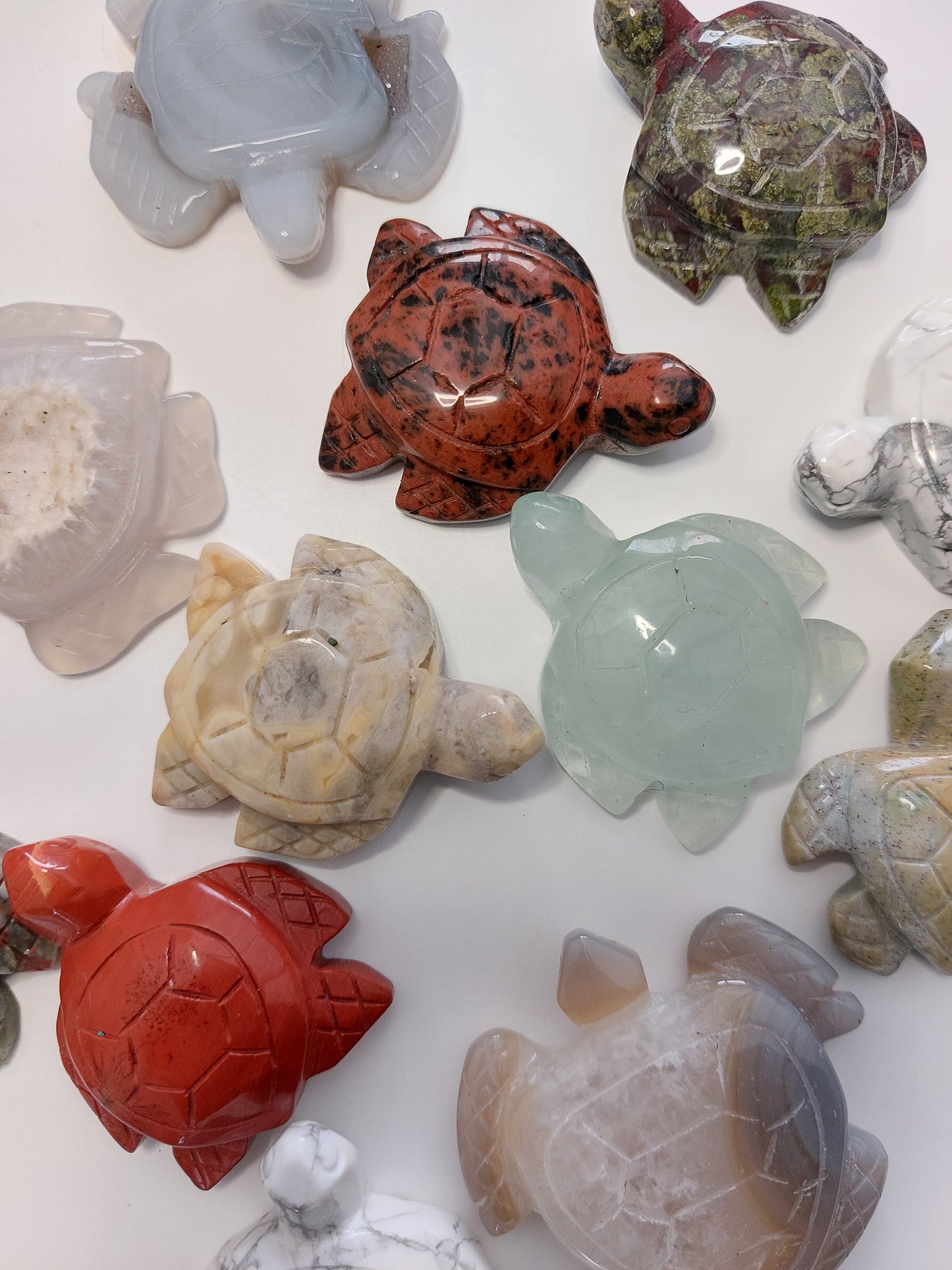 Schildkröten Mix