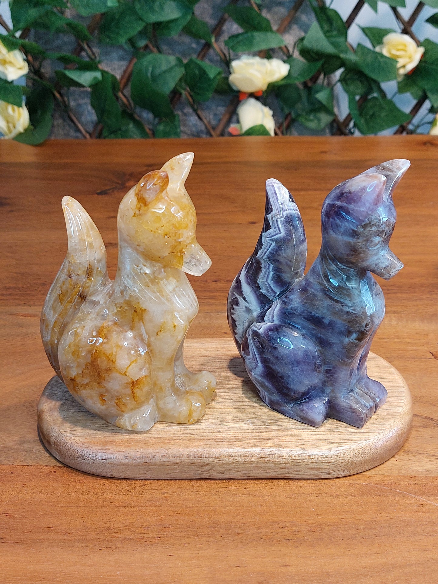 Golden healer Amethyst Fuchs