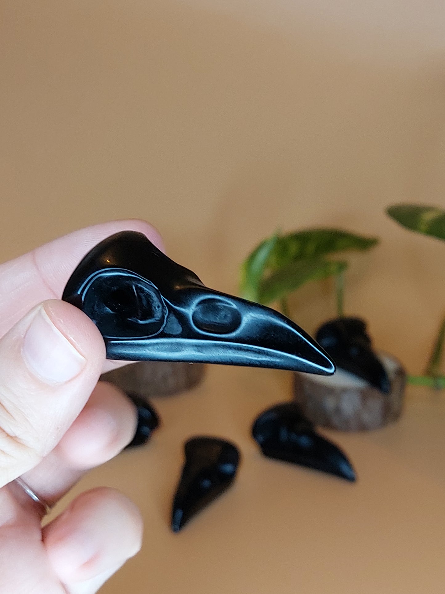 Obsidian Krähen Raben Schädel