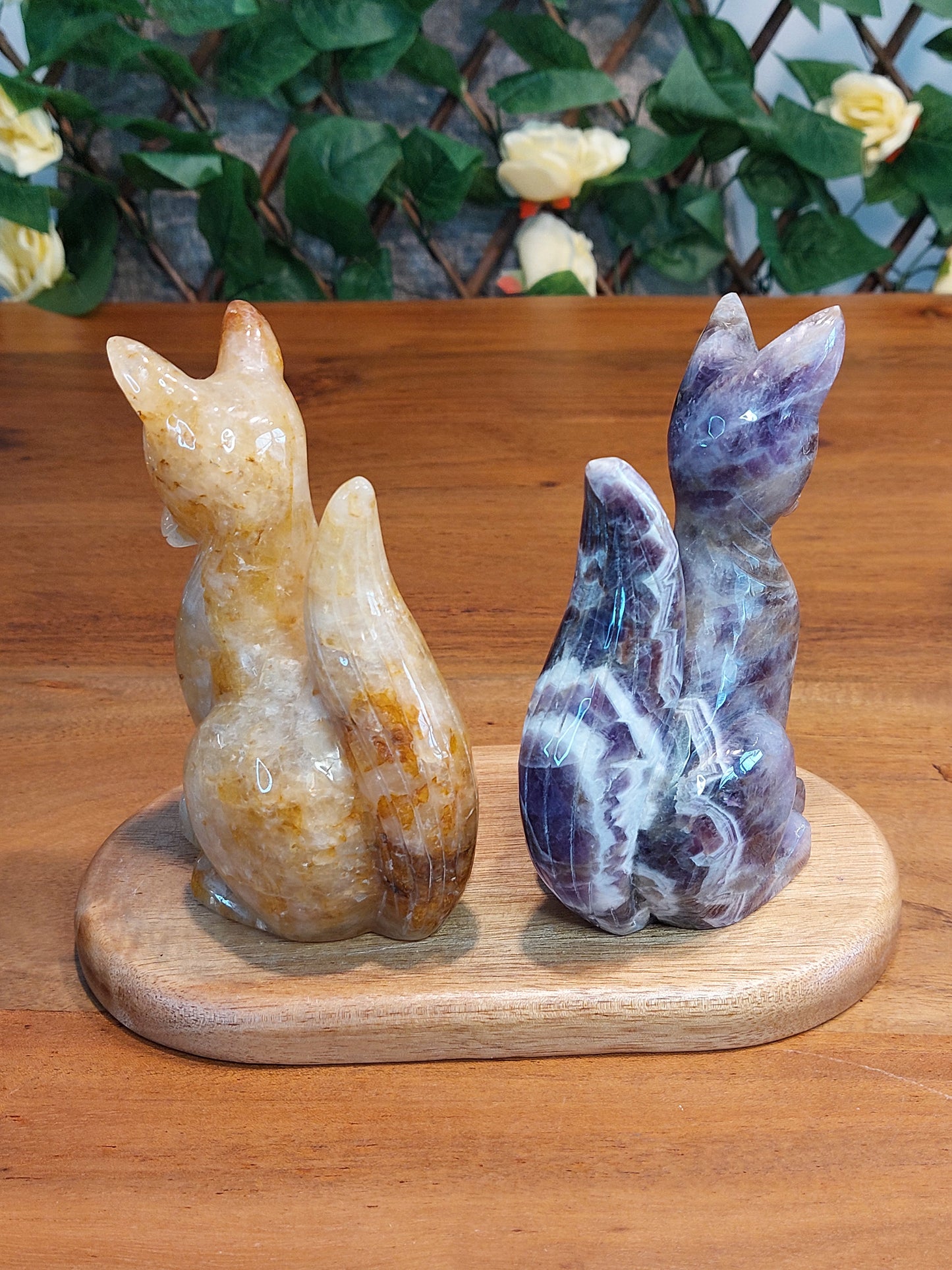 Golden healer Amethyst Fuchs