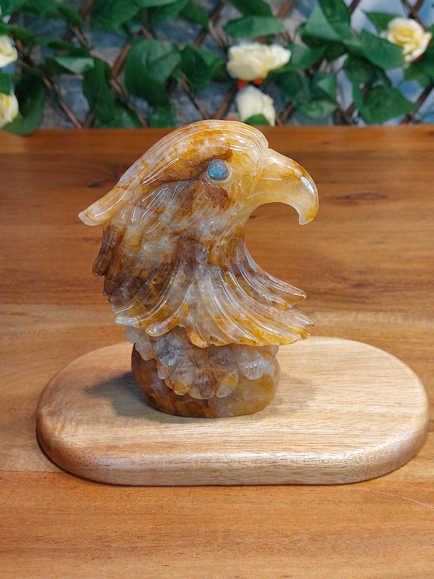 Golden Healer Adler