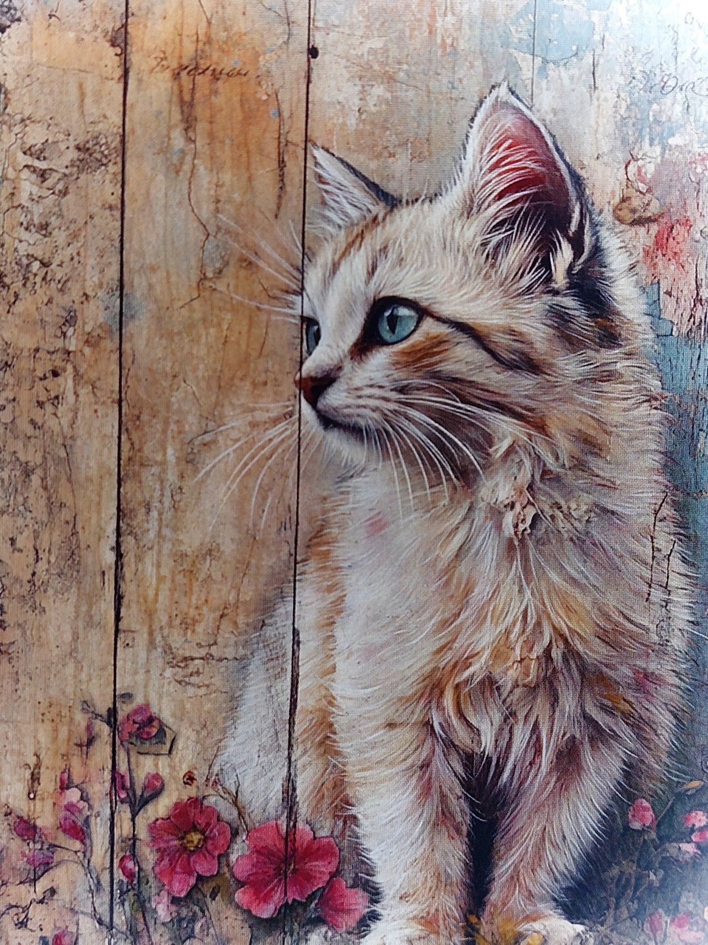 Katzen Postkarte