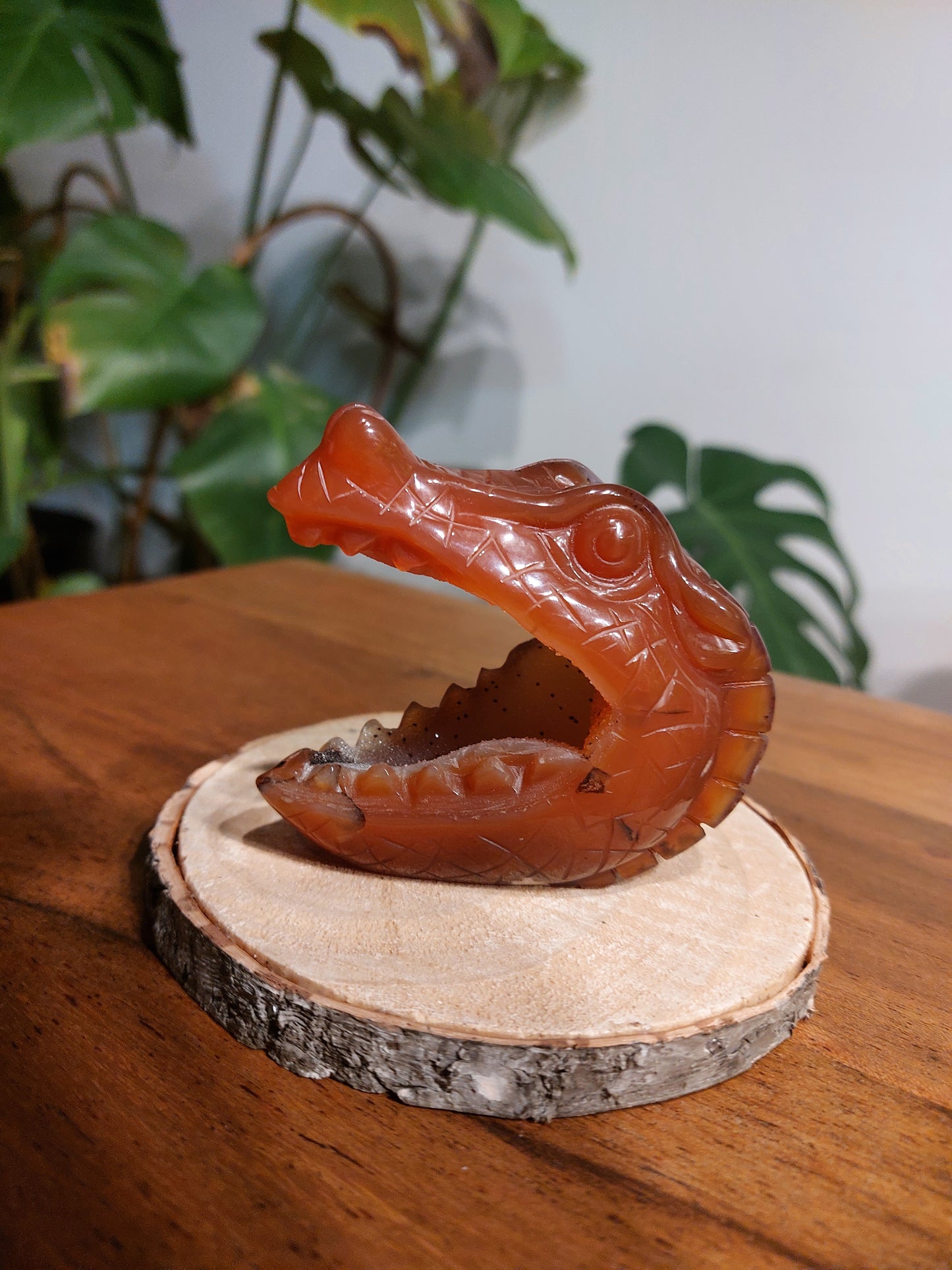 Karneol druzy Krokodil KK99
