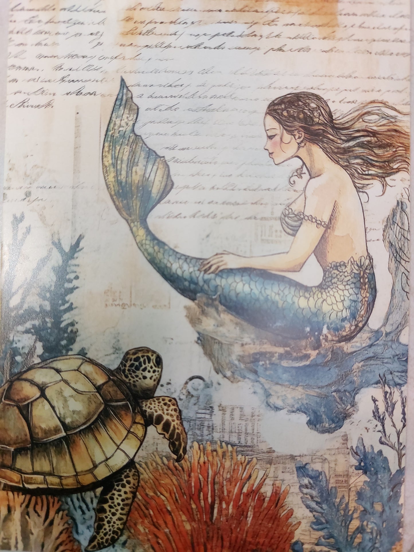 Schildkröten Postkarte