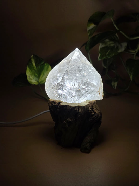 Lampen Baum Ständer Holz