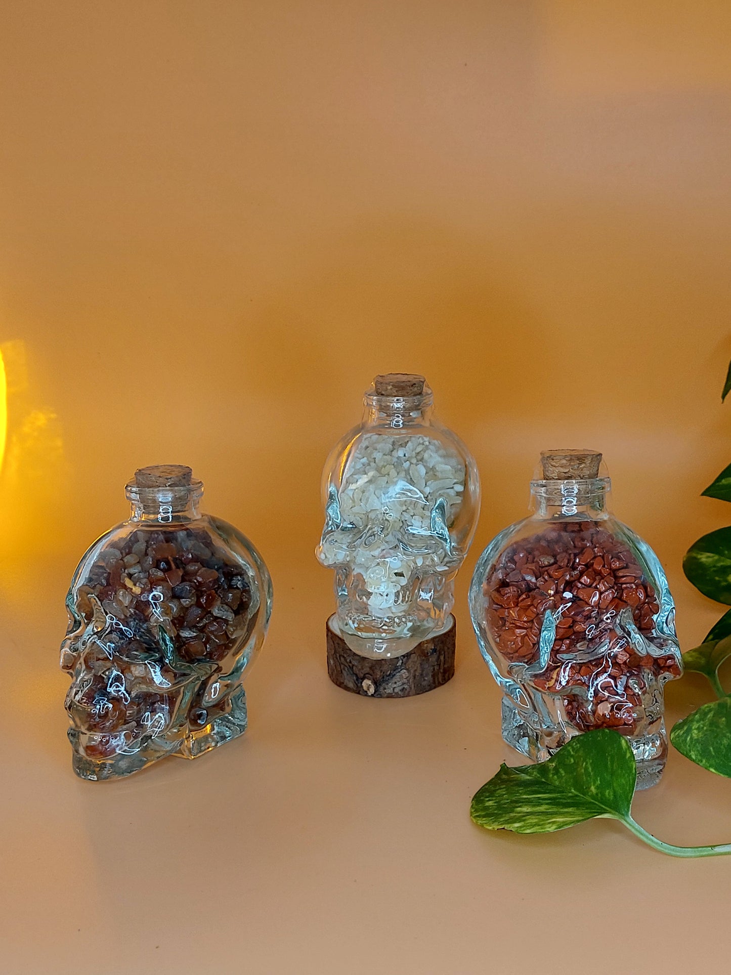 Glas Flasche Schädel