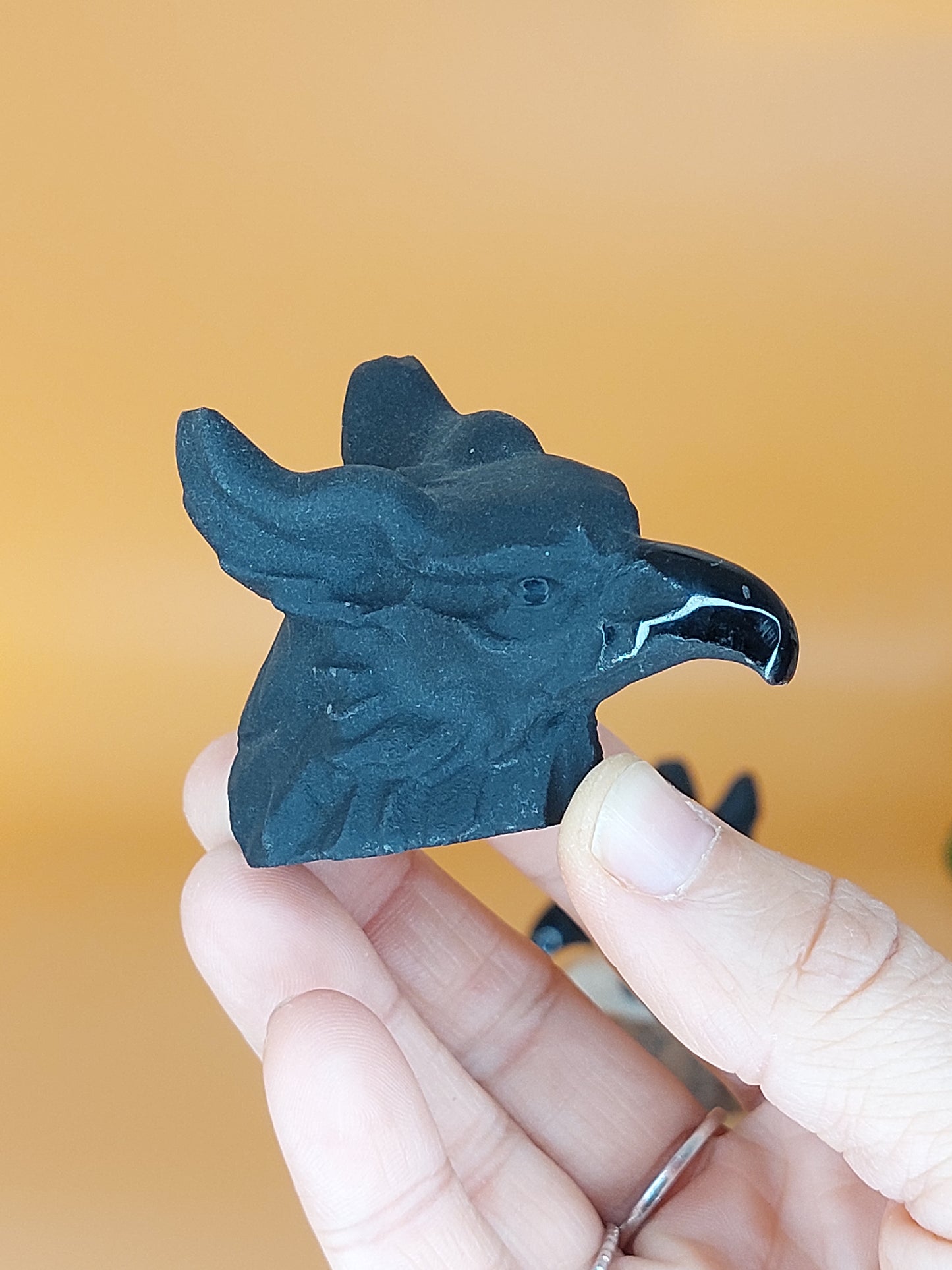 Obsidian Greif Kopf
