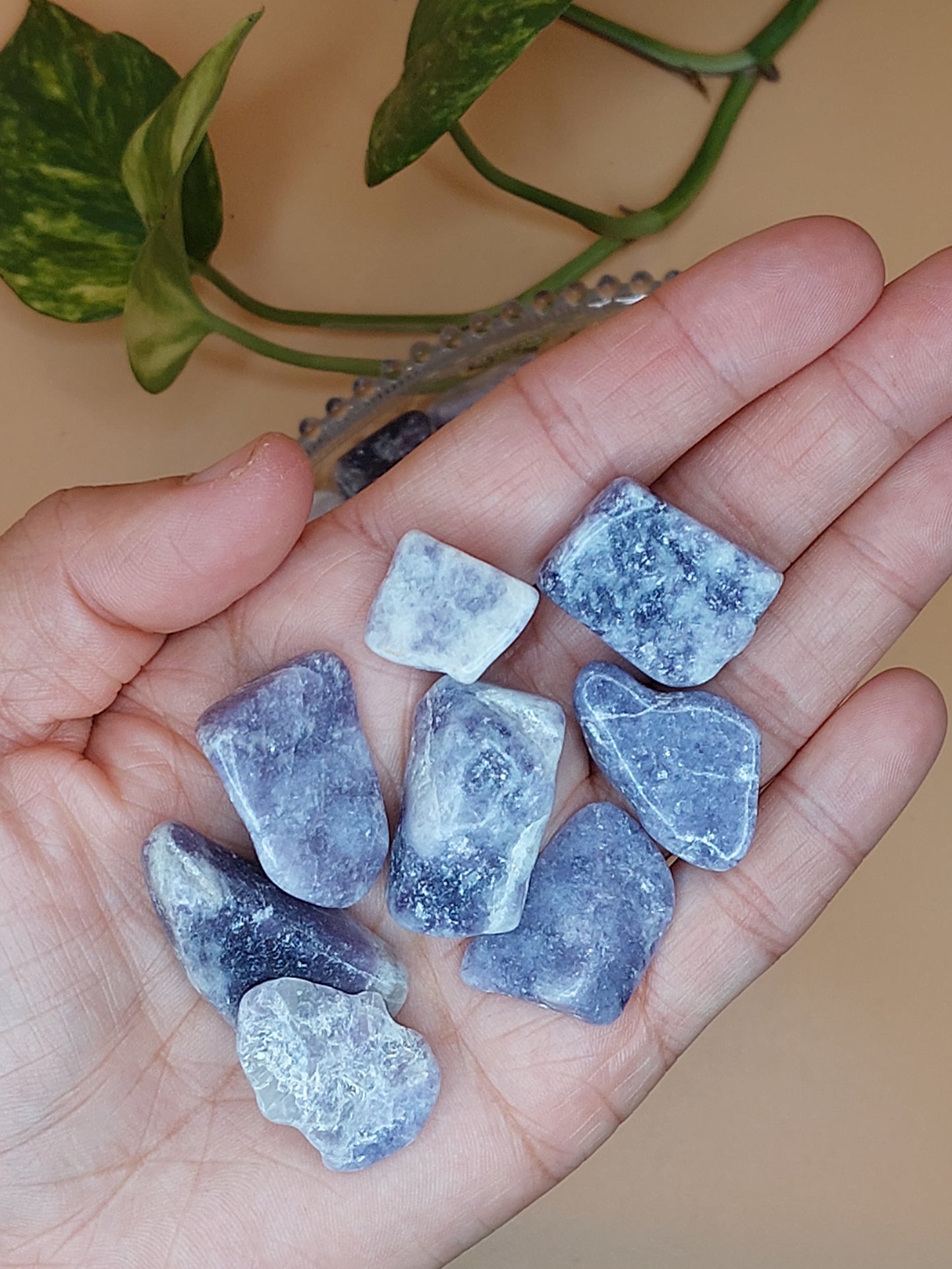 Jade, Kirschblüten Achat, Lepidolith | Kristall Chips M