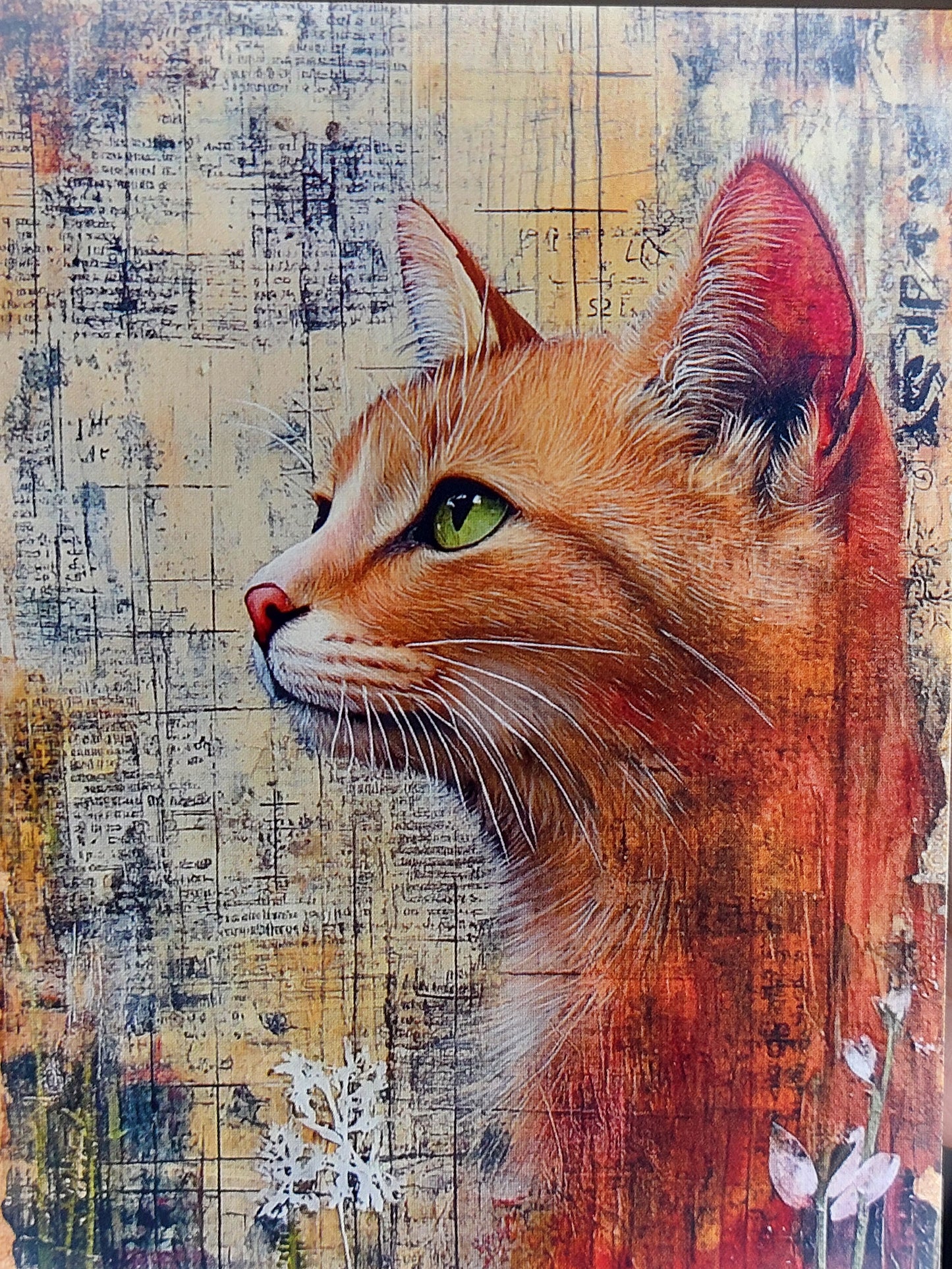 Katzen Postkarte