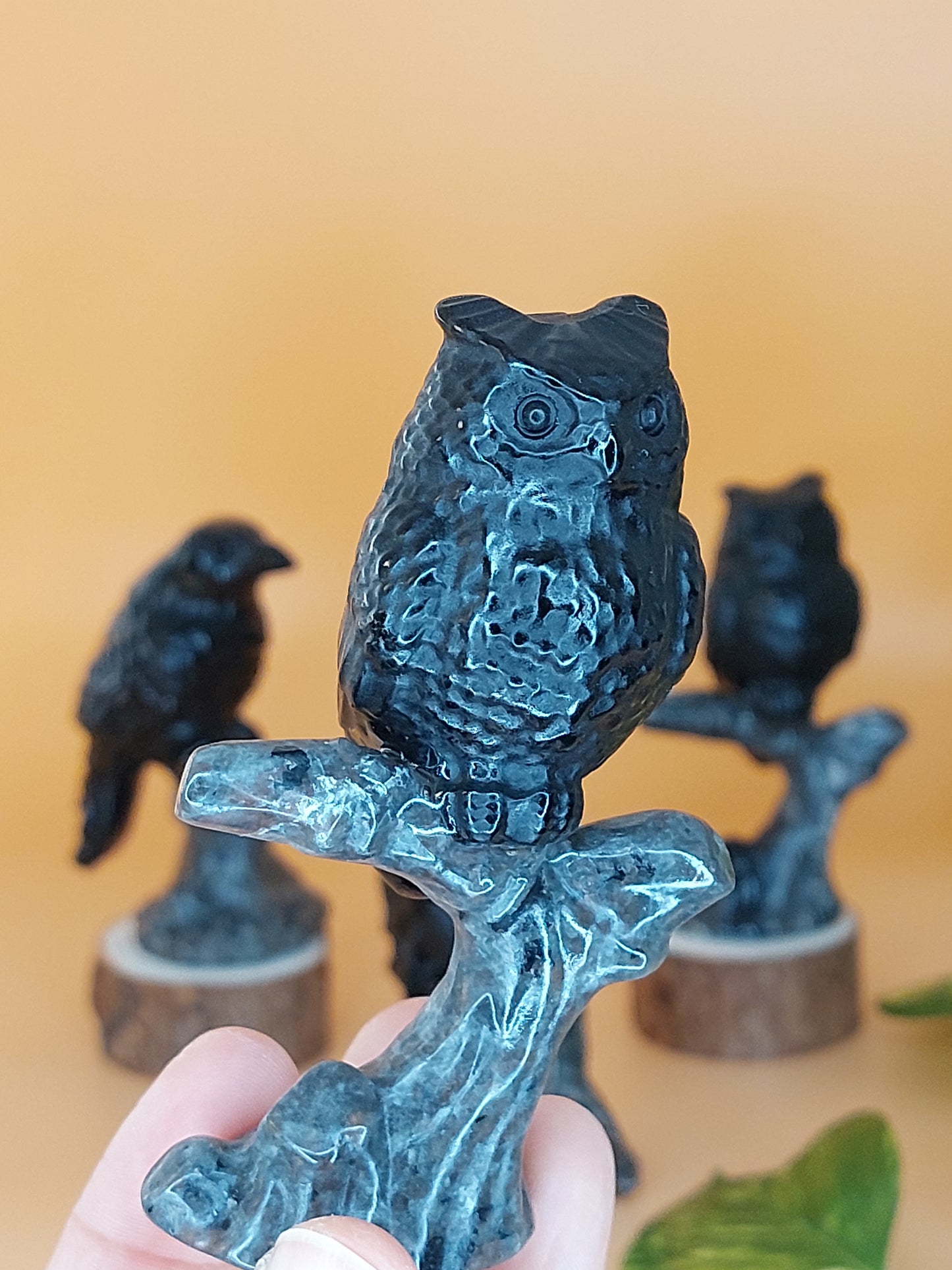 Obsidian Rabe Eule Adler