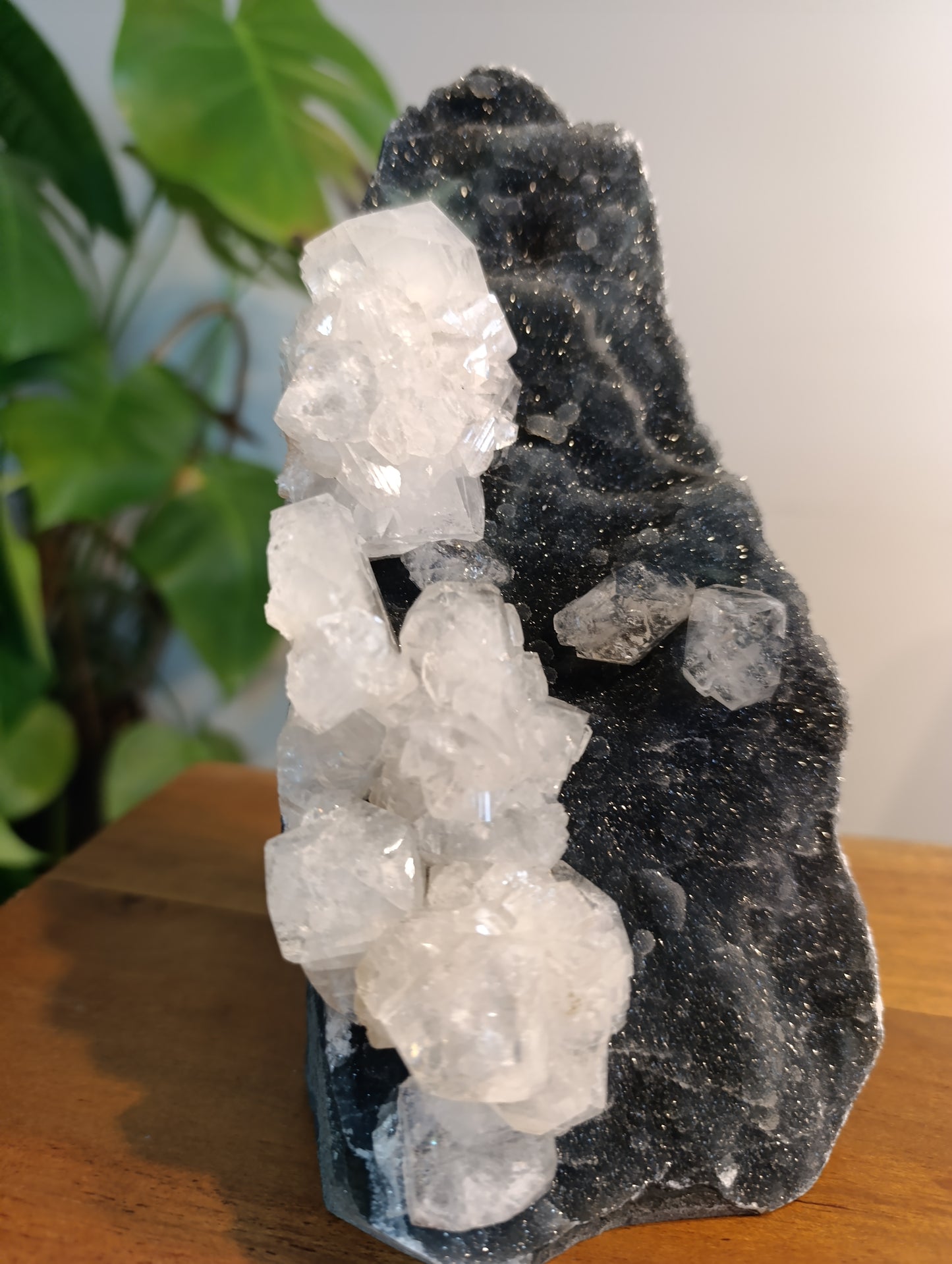 Glassy Apophyllit auf black velvet Calcedon AC540