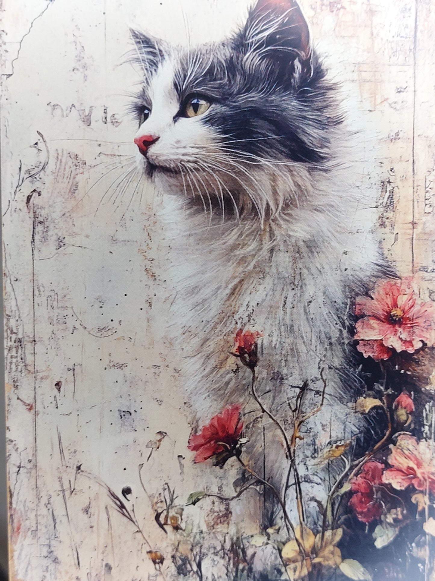 Katzen Postkarte