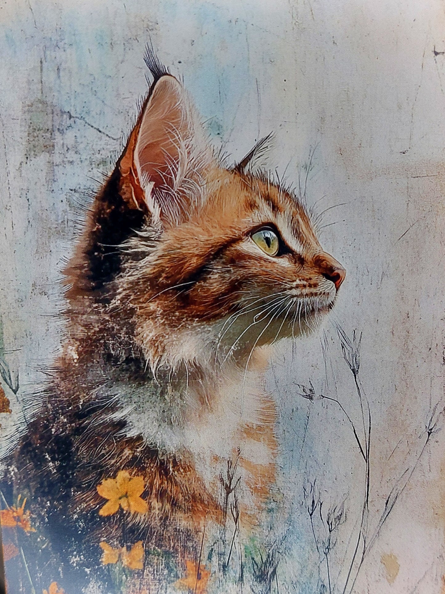 Katzen Postkarte