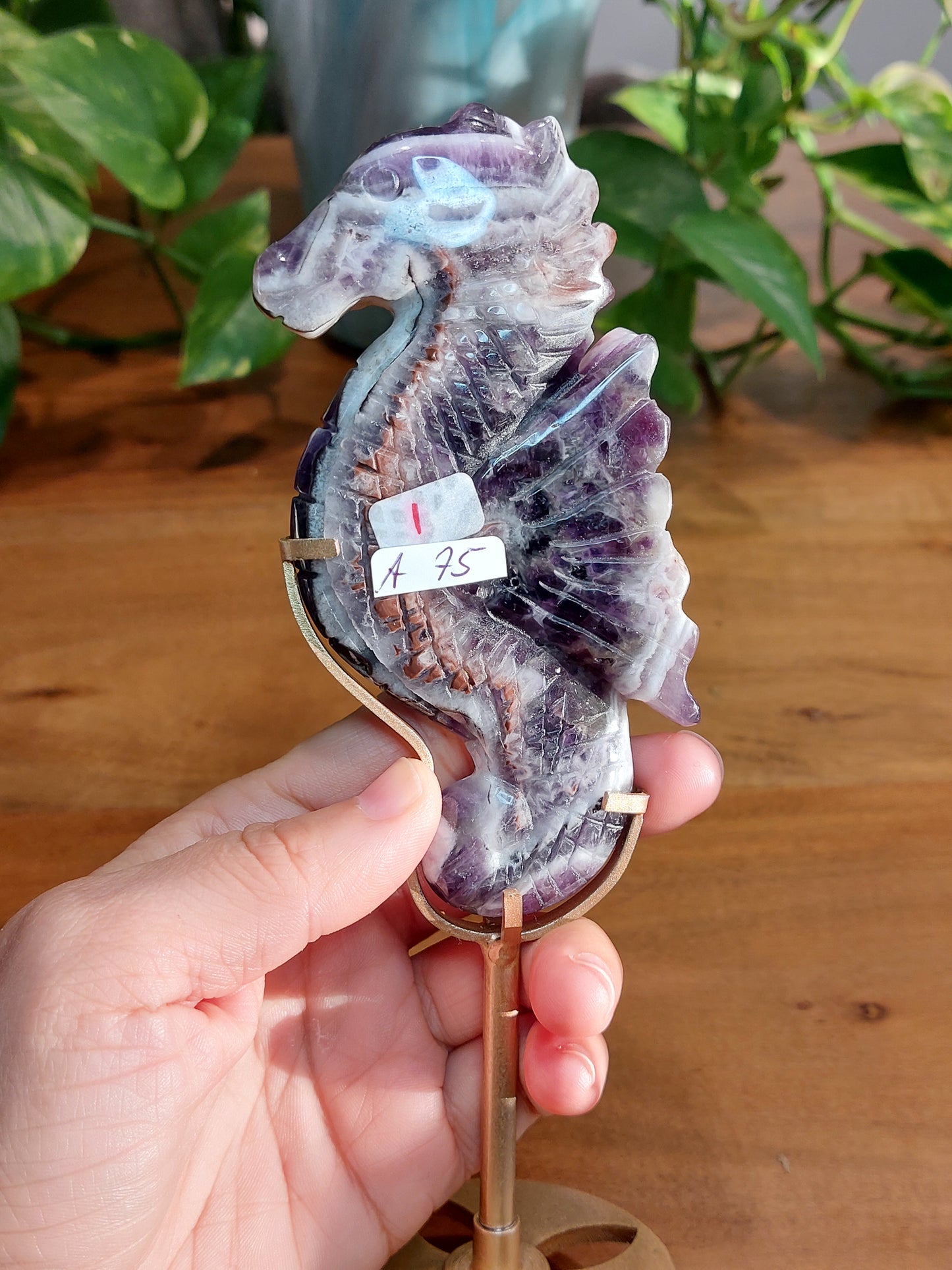 Amethyst Seepferdchen A75