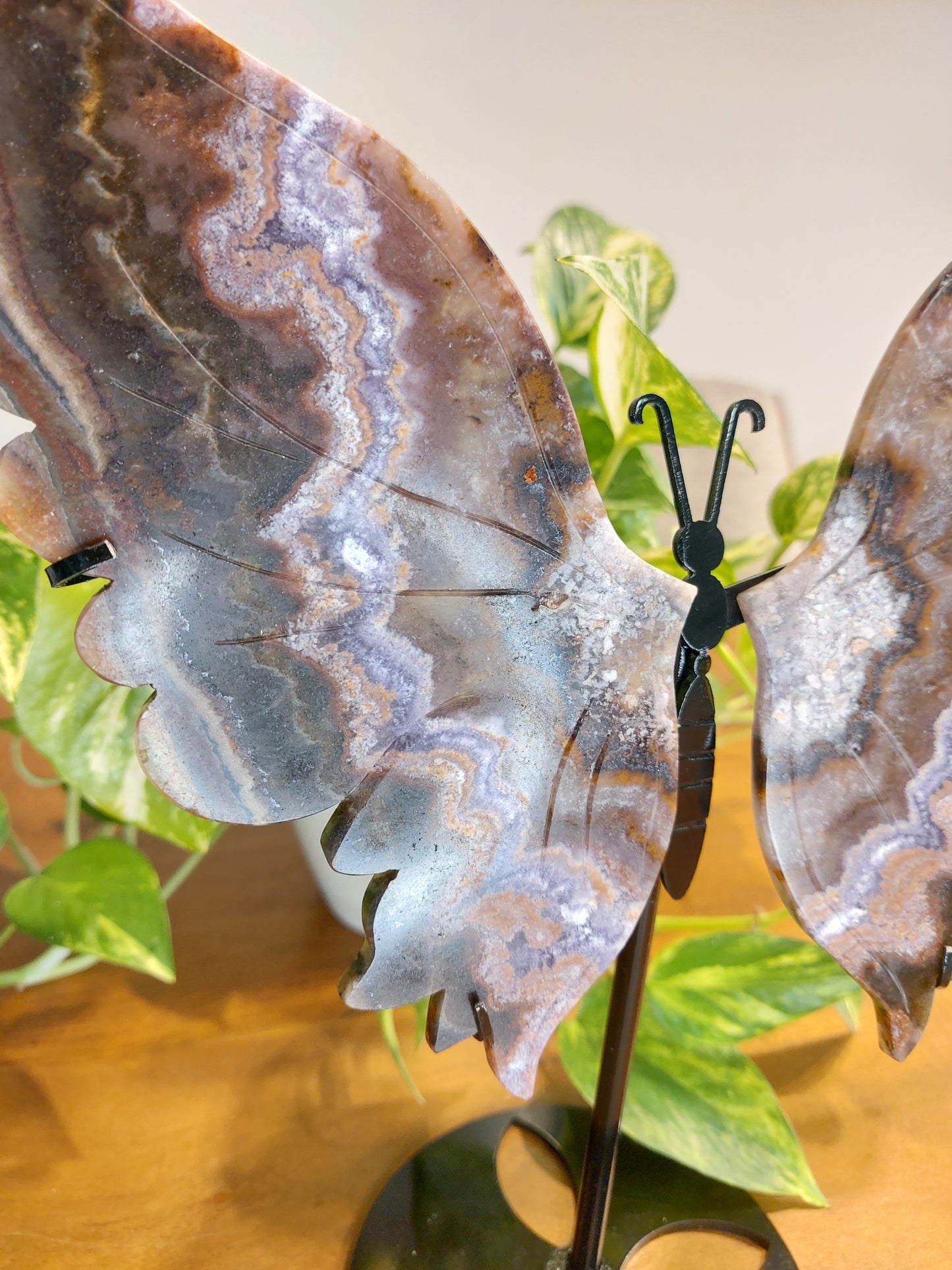 Kasachstan Flourit Schmetterling(super 7, Flourit, Gartenquarz)