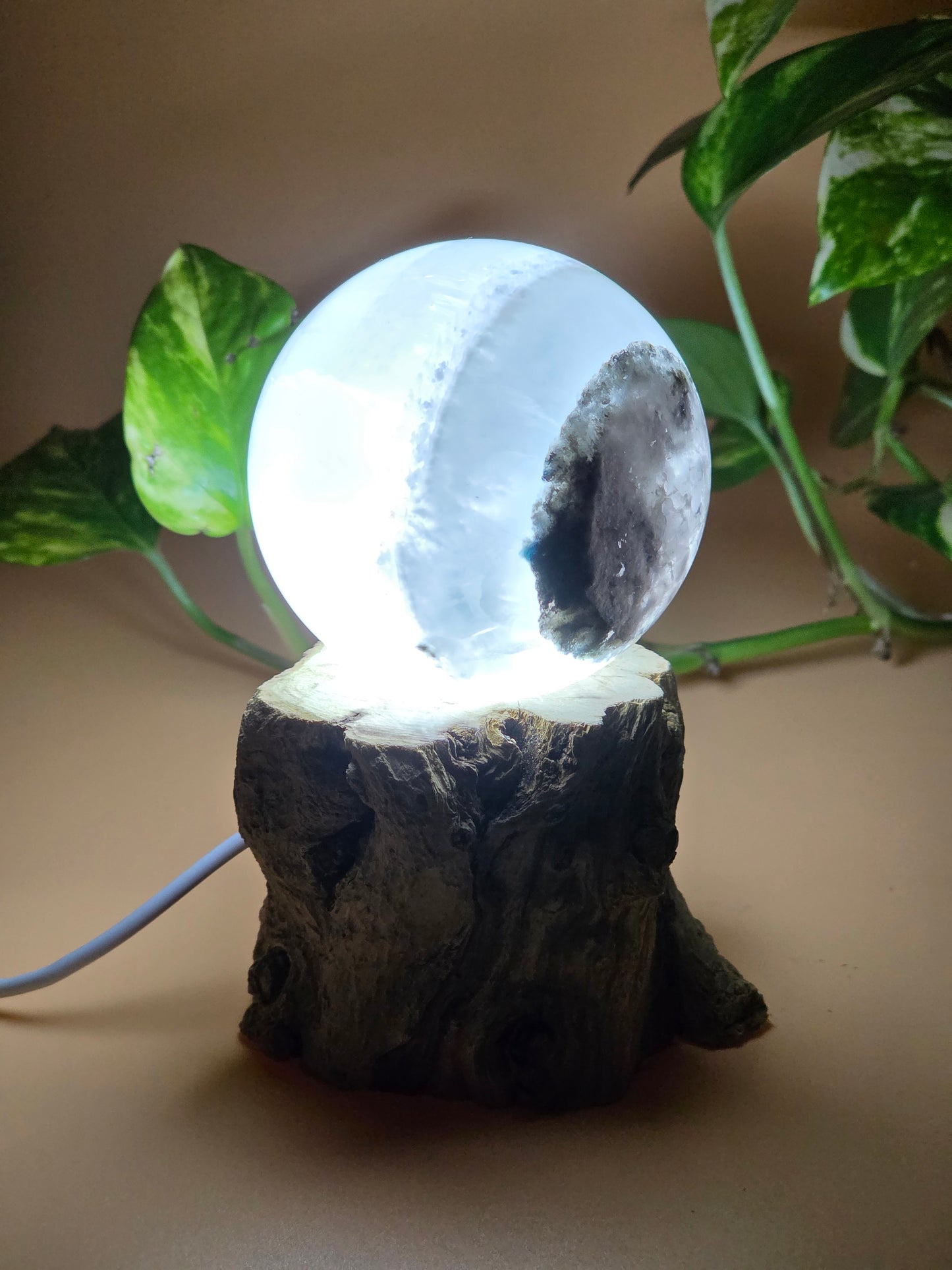 Lampen Baum Ständer Holz