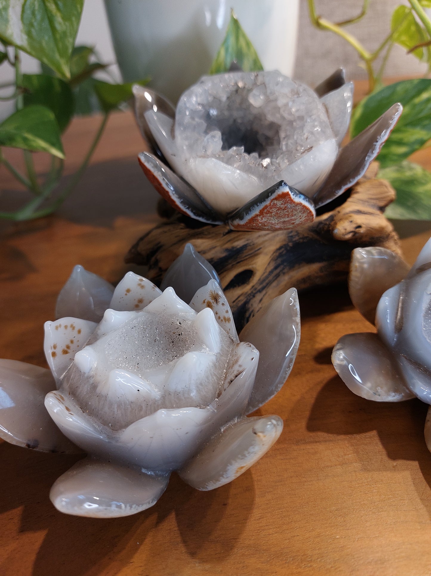 Druzy Achat Lotus Blüte XL