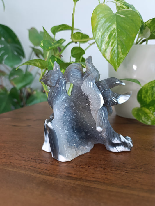 Orca Achat Fuchs OF149