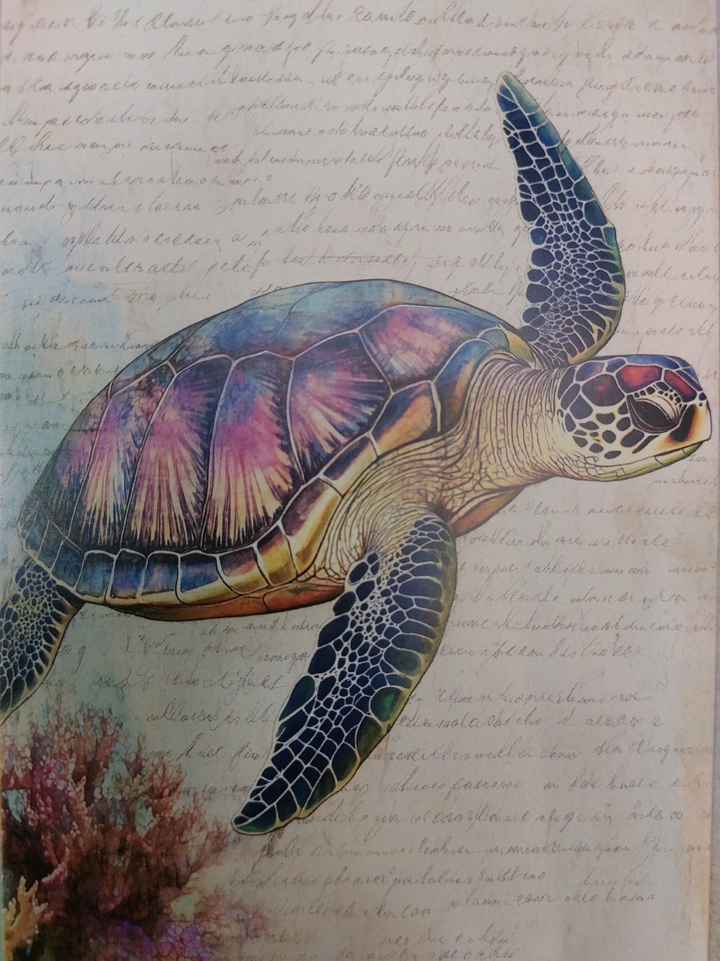 Schildkröten Postkarte