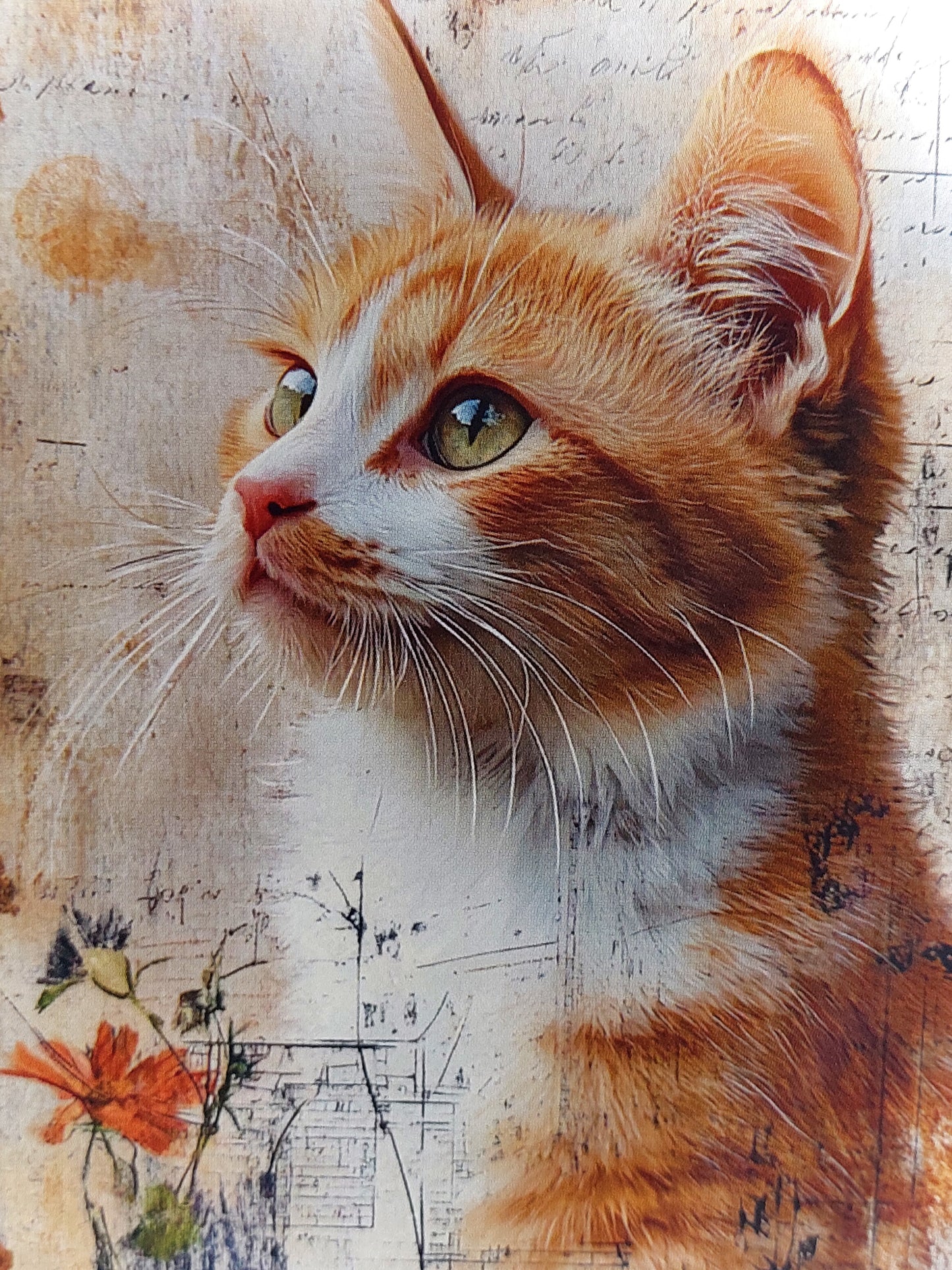 Katzen Postkarte