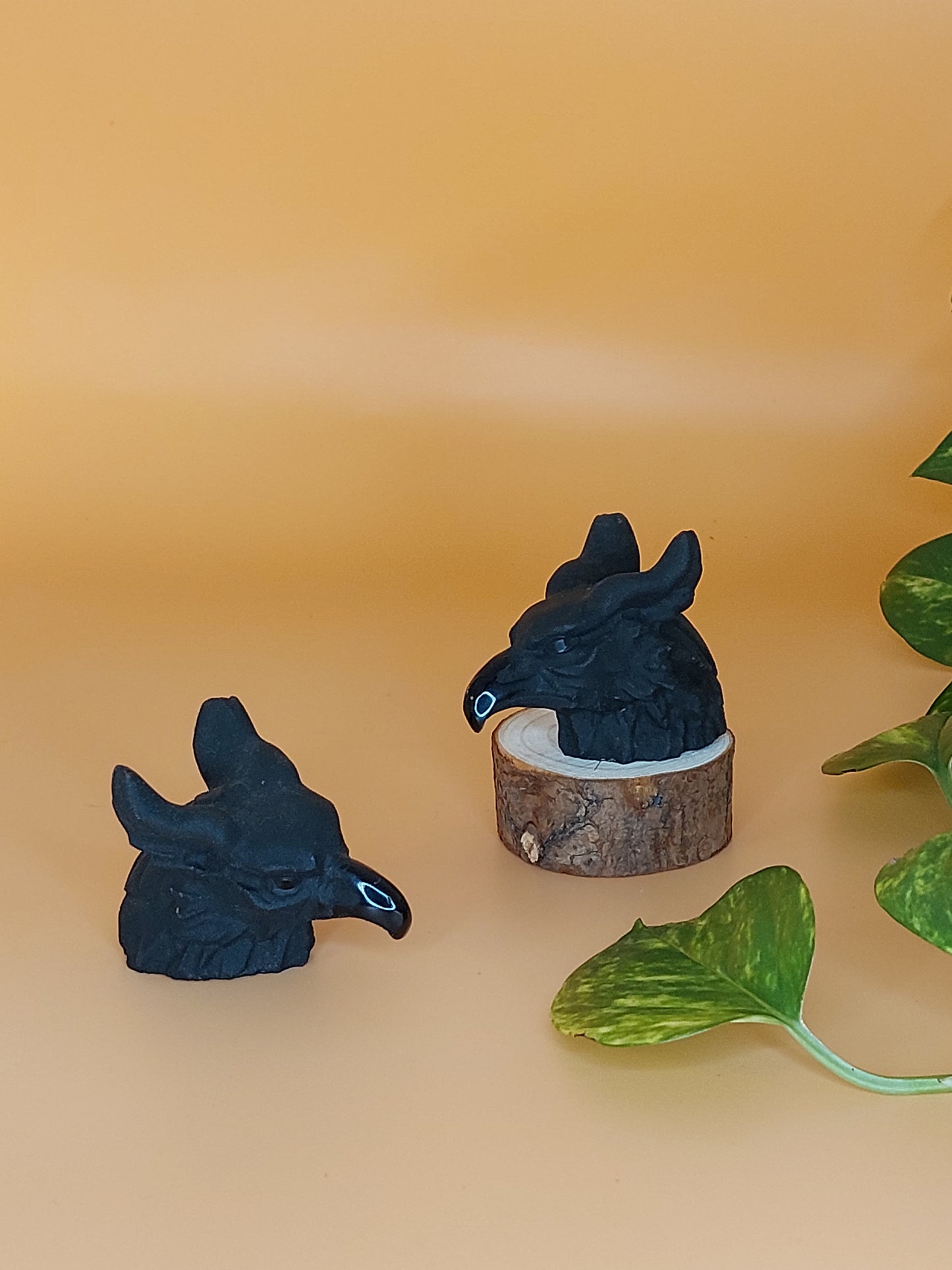 Obsidian Greif Kopf