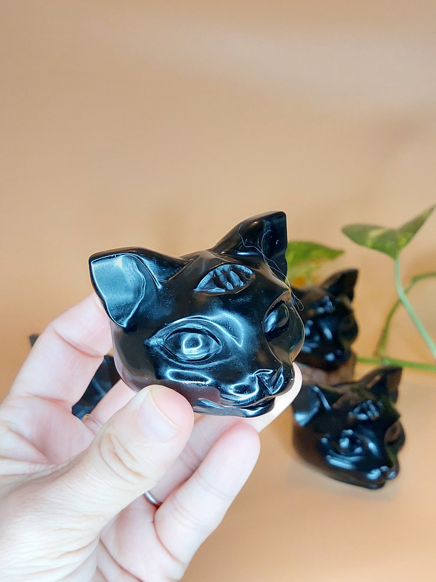 Obsidian 3 äugige Katze