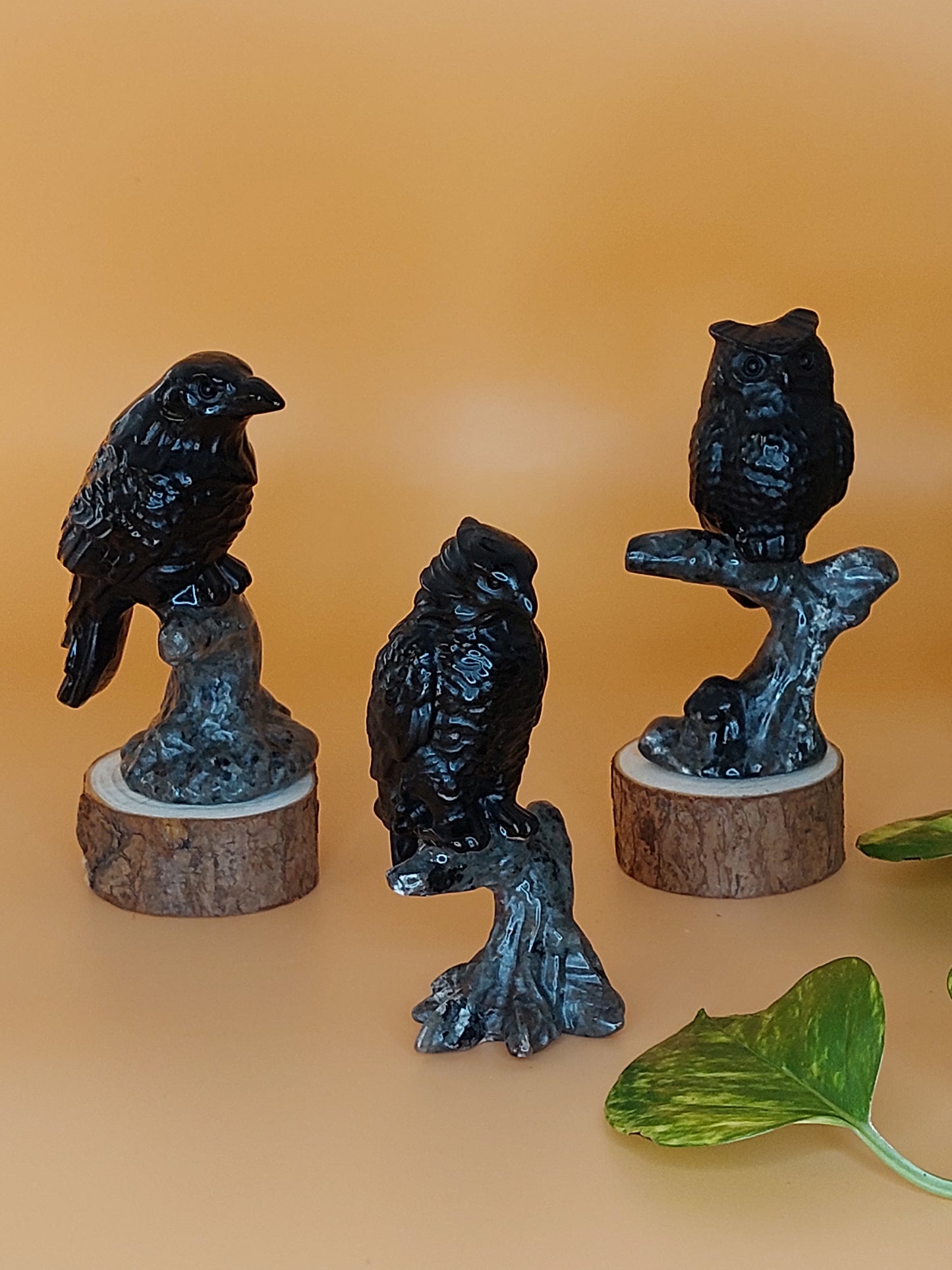 Obsidian Rabe Eule Adler