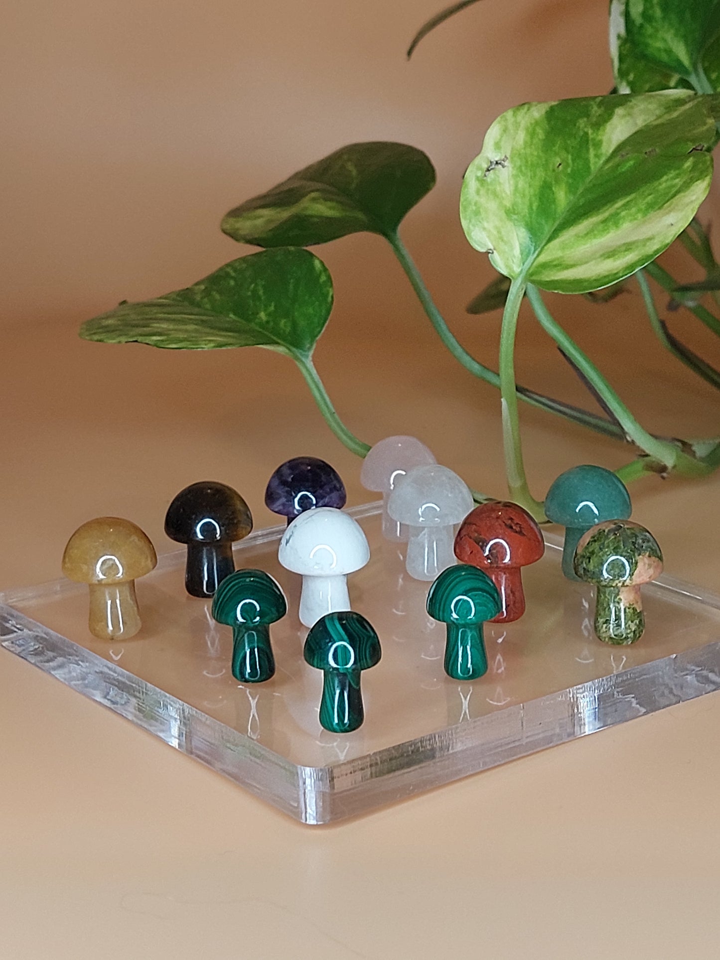 Pilz | Carving Mini