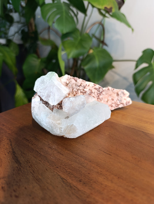Apophyllit auf rosa Calcedon RC73
