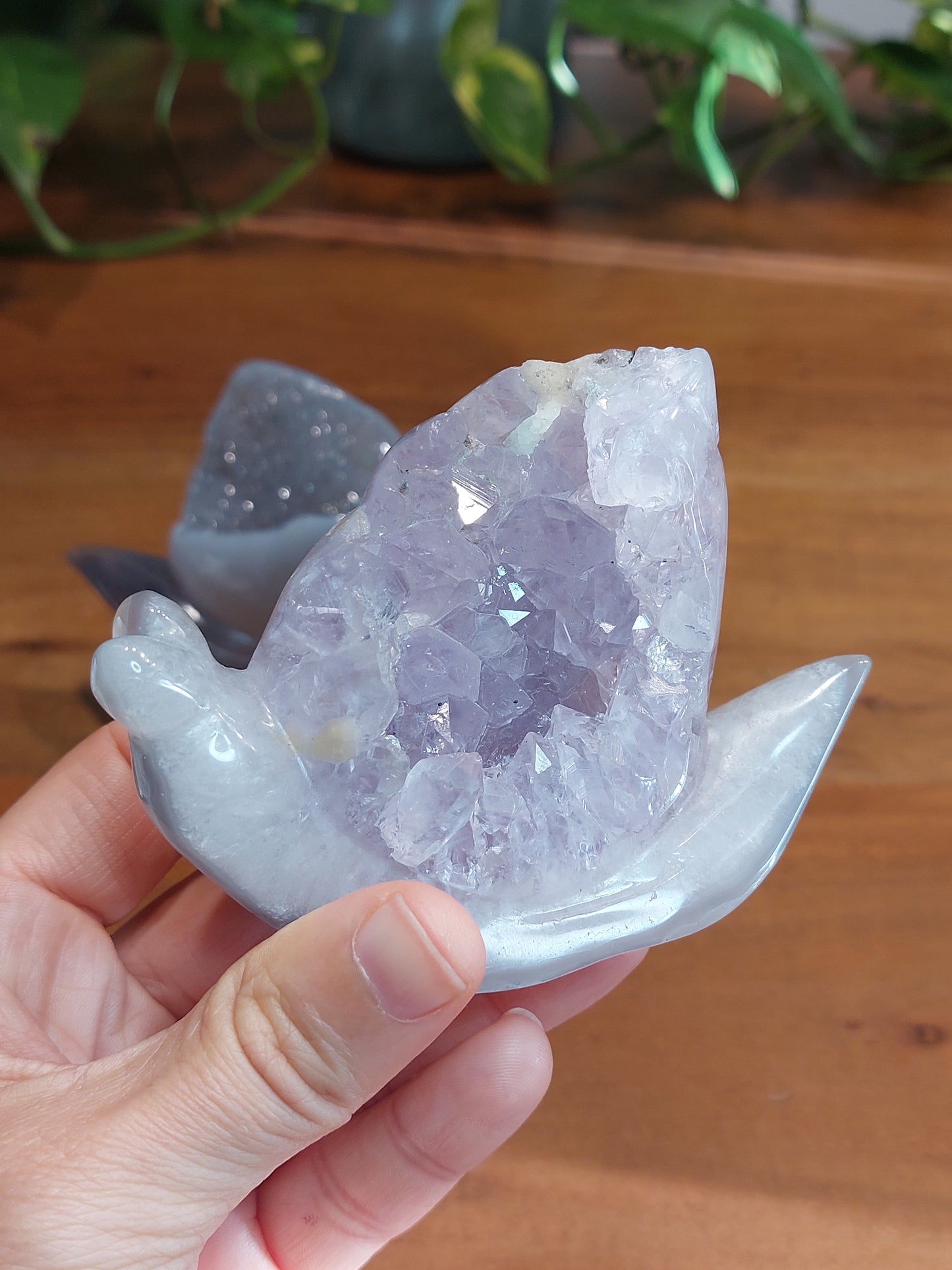 Achat Amethyst druzy Schnecke