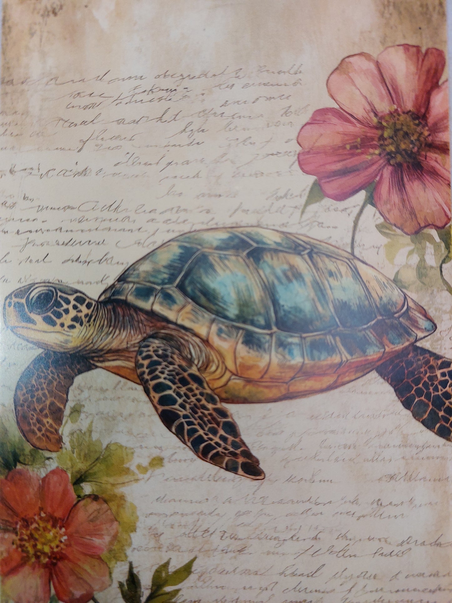 Schildkröten Postkarte