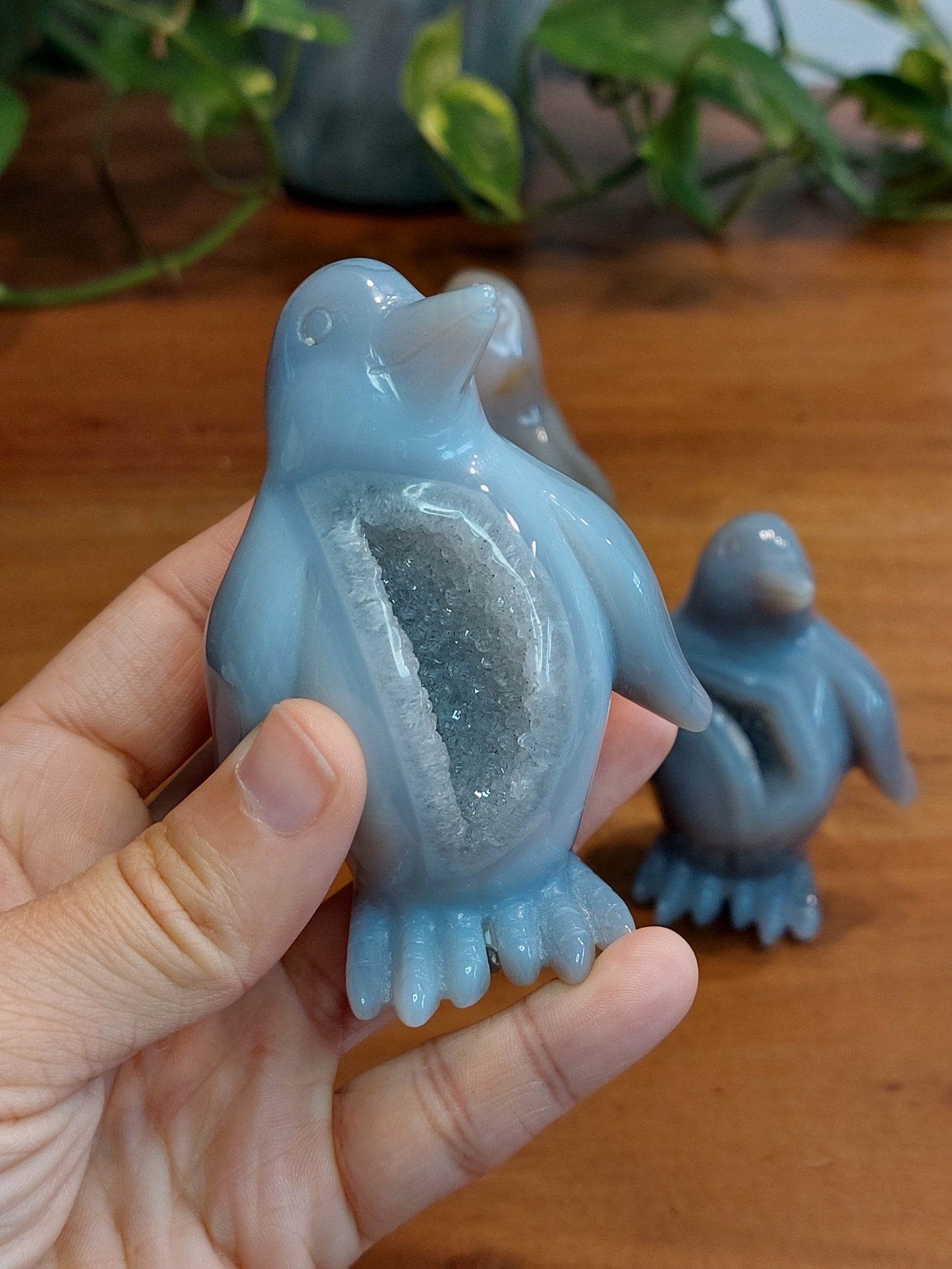 Achat Druzy Pinguin