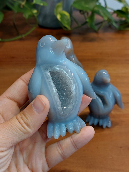 Achat Druzy Pinguin