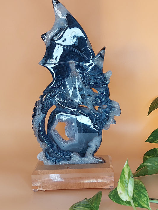 Sardonyx schwarz druzy Drache XL