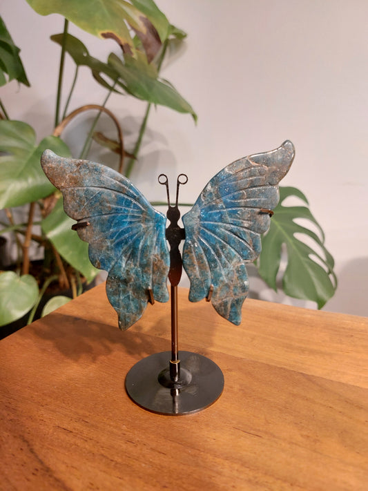 Apatit Schmetterling AA30
